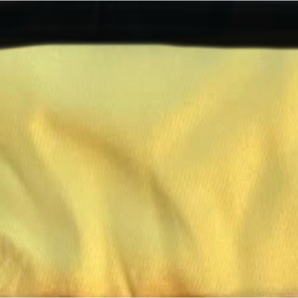 Pashmina scarves